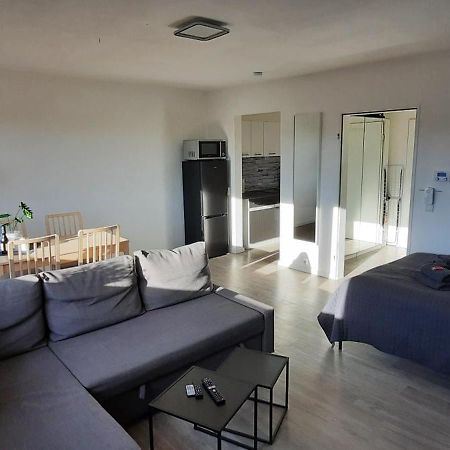 Apartment Horizont Bad Sachsa Kültér fotó